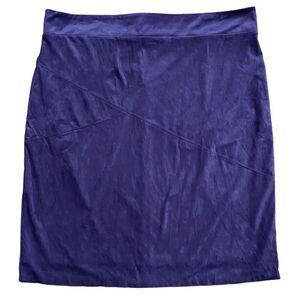 Koret Royal Purple Faux Suede Skirt 2X